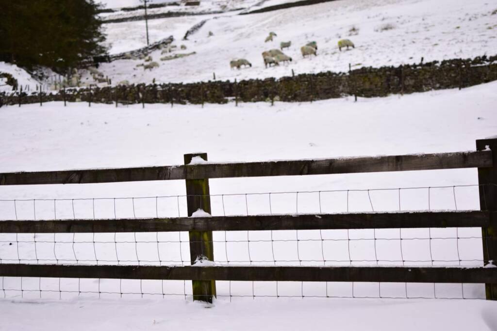 Cranmore House - A Walkers' And Cyclists' Dream Nenthead Eksteriør bilde